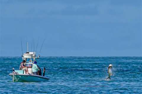 Tarpon Fishing in Key West: The Complete Guide