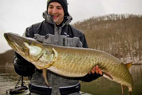 The Northeast’s Native Muskies