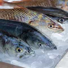 All About New England’s Native Fresh Fish