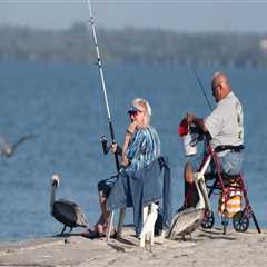 Tampa bay fishing limits?