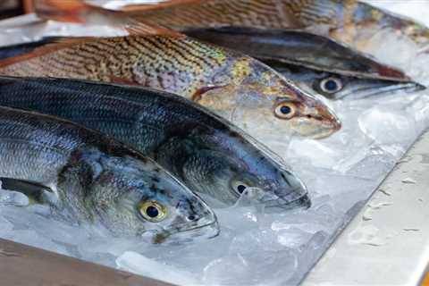 All About New England’s Native Fresh Fish