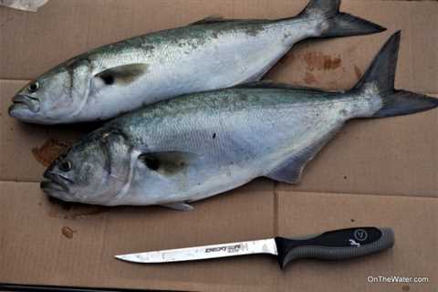 Recipe: Smoked Bluefish Dip