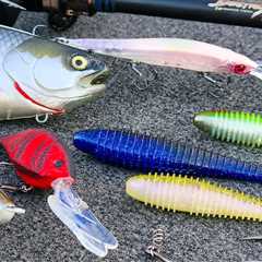 Bass Fishing Gear Review: Megabass Destroyer P5, Shimano SLX A, and Baits!!!