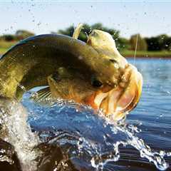 Largemouth Bass Fishing in the Spring