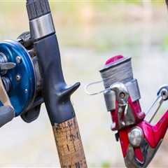 Spinning Rods and Reels: The Basics