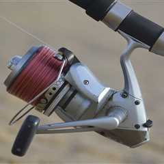 Fishing Rods: Unleashing the Thrill of Angling with Uncommon Gear