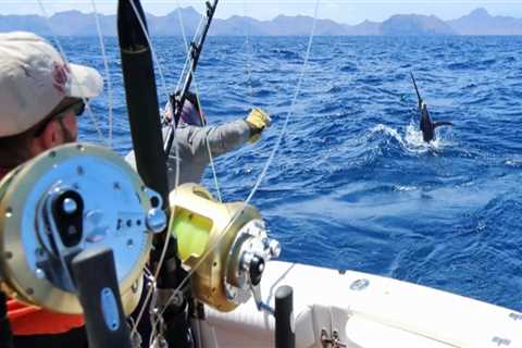 Deep Sea Rods and Reels: A Comprehensive Overview