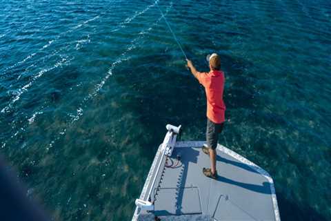 Explore the Unique Experience of Jetty Charters in South Padre Island, TX