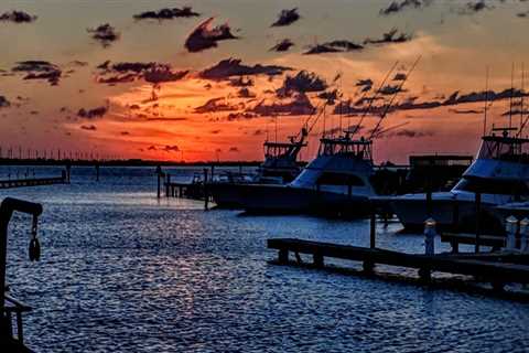 Exploring Dolphin Docks Marine Center & Bait Shop in South Padre Island TX