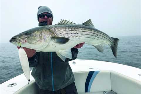 Fishing Flutter Spoons for Striped Bass