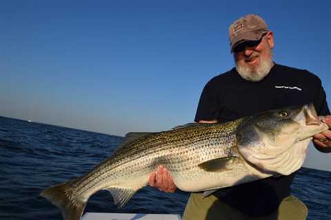 Three Lures for Stripers on Bunker Schools