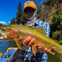 Summer Fly Fishing - Montana Trout Outfitters