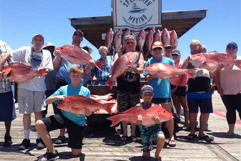 How to Fish for Red Snapper: The Complete Guide