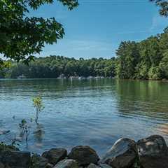 Lake Lanier Fishing: The Complete Guide
