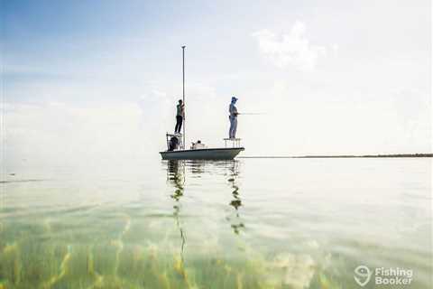 How to Go Fly Fishing in Key West: An Angler’s Guide
