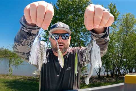 Spring Spinnerbait Fishing! Everything You Need To Know!
