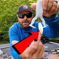 Frog Fishing Tricks – 5 Modifications That Catch More Fish!!