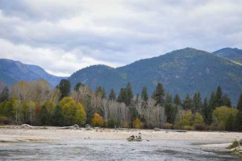 BWO'less on the Bitterroot River