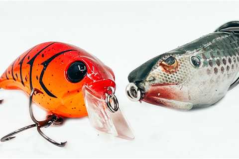 Top 5 Baits For September Bass Fishing!