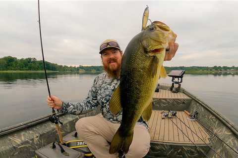 Targeting BIG Bass In Offshore Grass! ( Topwater Bite Is On Fire )