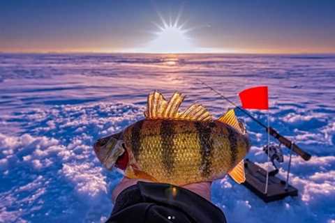 Angler Captures Insane Beauty of Ice Fishing with His Photography