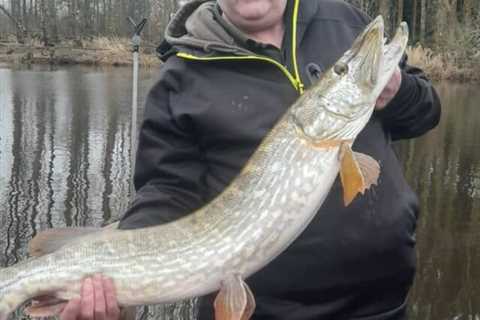 Limerick County Pike Anglers see plenty of action in Roscommon