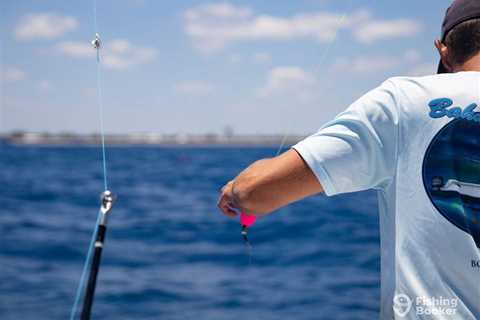 Best Saltwater Lures: A Beginner’s Guide for 2024