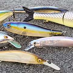 Top 5 Baits For October Bass Fishing!!