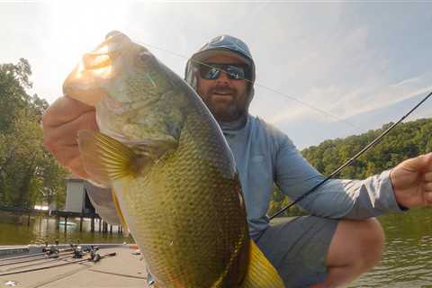 Fall Transition Bass Fishing On Lake Chickamauga