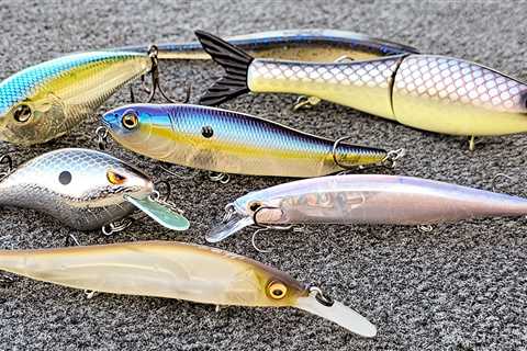 Top 5 Baits For October Bass Fishing!!
