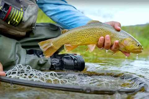 USFWS All-In on Fish Passage