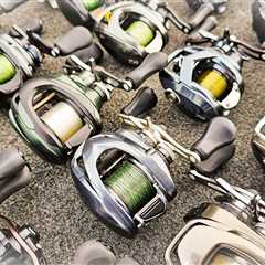 BUYER'S GUIDE: BEST CASTING REELS (Budget To Enthusiast)