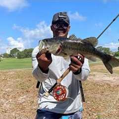 Fly Fishing for Largemouth Bass on an Exclusive Golf Course – Was This Bass Over 8lbs