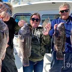 How to Go Tautog Fishing: The Complete Guide for 2024