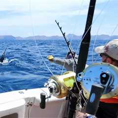 Deep Sea Fishing Reels: A Beginner’s Guide for 2024