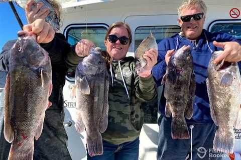 How to Go Tautog Fishing: The Complete Guide for 2024