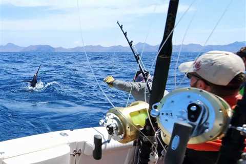 Deep Sea Fishing Reels: A Beginner’s Guide for 2024