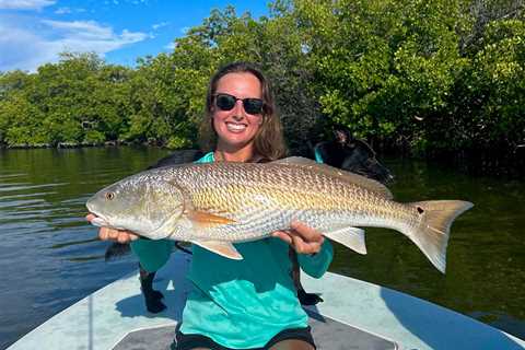 Bull Redfish: An Expert’s Guide to Tackling These Monsters