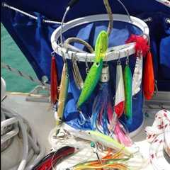 How to Choose the Right Bait for Every Major Gamefish in Costa Rica