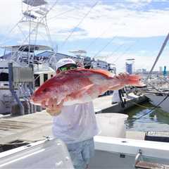 Mississippi Red Snapper Season: The Complete Guide for 2026
