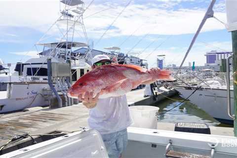 Mississippi Red Snapper Season: The Complete Guide for 2026