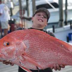 Red Snapper Season Florida: The Complete Guide for 2026