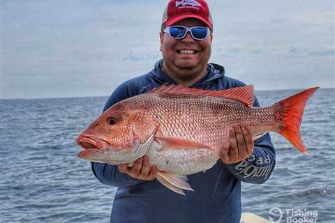 NOAA Expands Atlantic Red Snapper Fishing Season for 2026