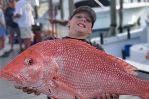 Red Snapper Season Florida: The Complete Guide for 2026